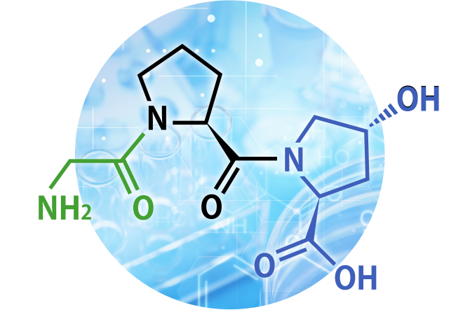 コラーゲントリペプチド