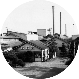 ゼライスの歩み