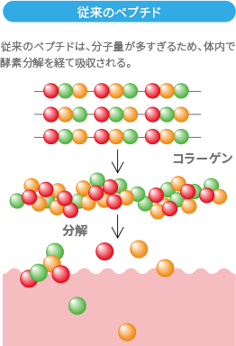 従来のペプチド